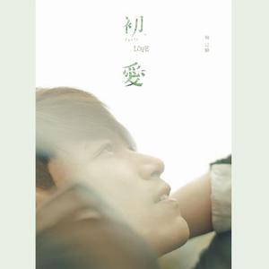 要搞哪一出小说
