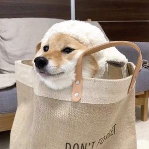 光头哥后入星野在哪里看
