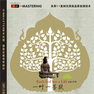 要搞哪一出小说
